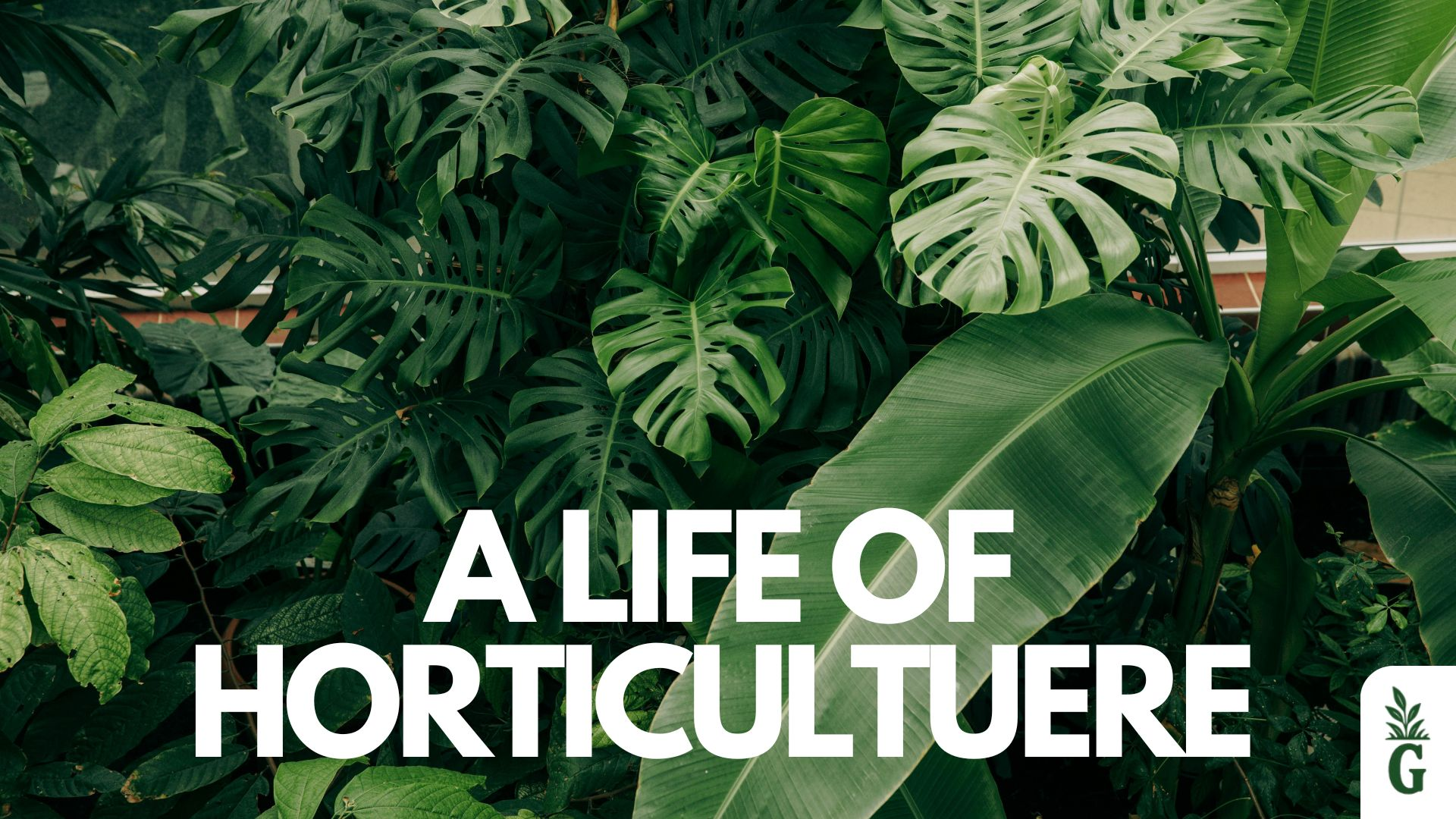 a life of horticulture